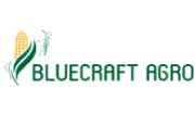 bluecraft